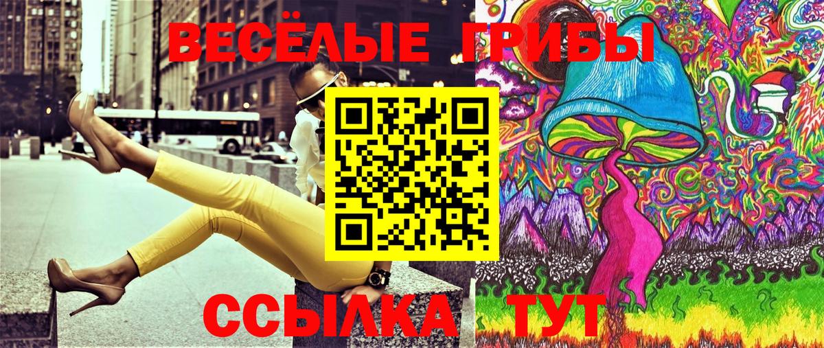 Псилоцибиновые грибы прущие грибы Сальск